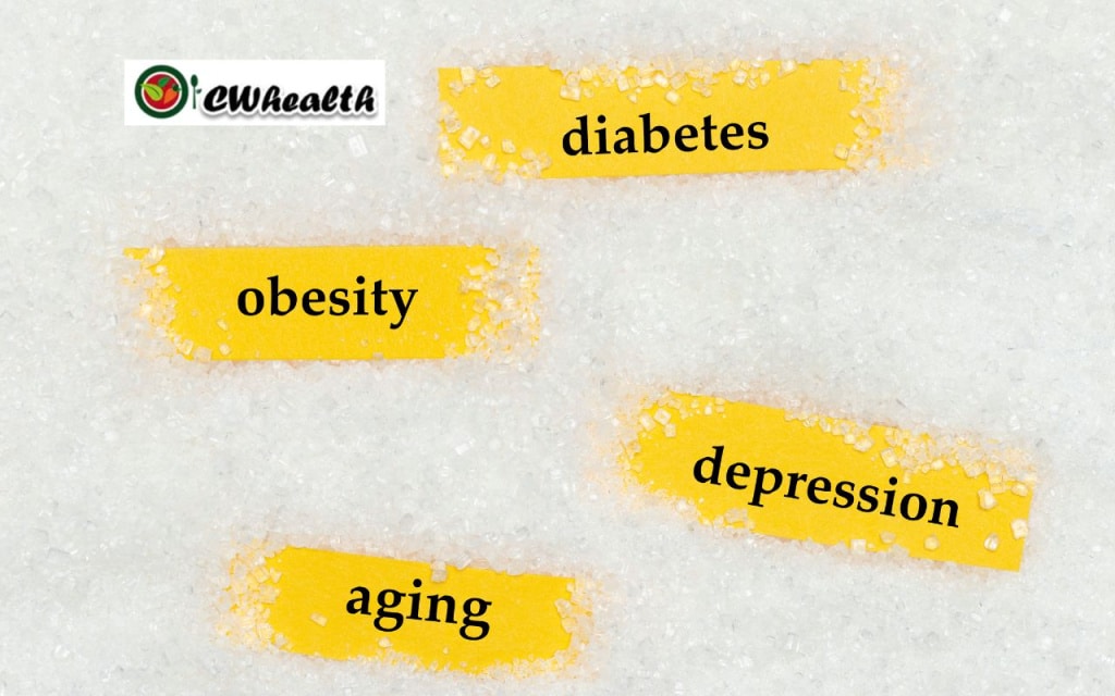 The_Impact_of_Sugar_on_the_Body