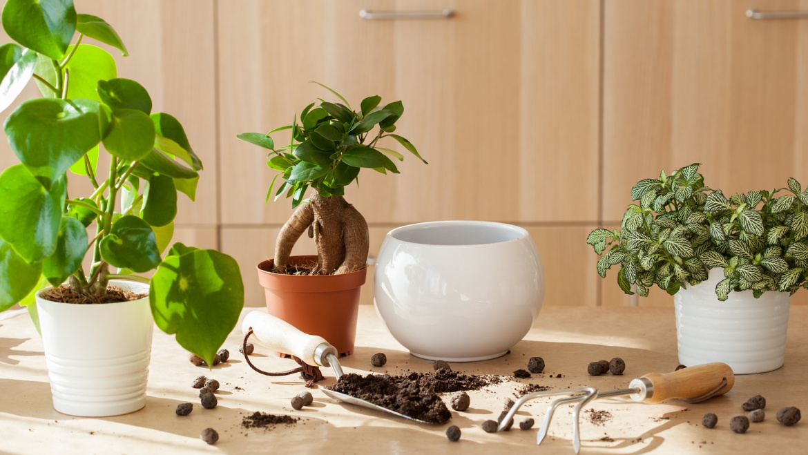 Healthy Aging Starting in your Home