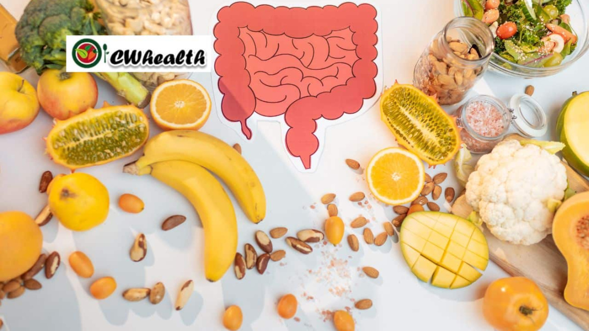 Gut health and digestion: How gut health impacts your digestive system, digestion, and overall health – Guide to digestive wellness