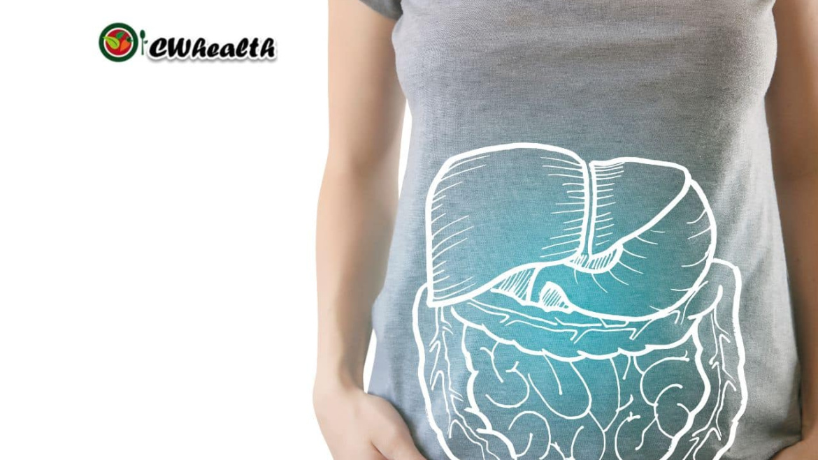 The Role of Probiotics in Gut Health: Probiotics, Prebiotics & Gut Benefits